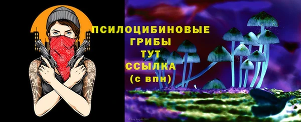 а пвп мука Вяземский