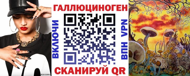 Галлюциногенные грибы Psilocybine cubensis  гидра вход  darknet клад  Звенигово 
